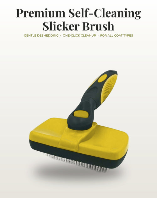 Fur & Velvet Full Ritual Set — Yellow brush, hero angle